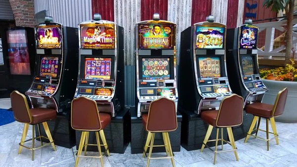 togel jepang Bingo